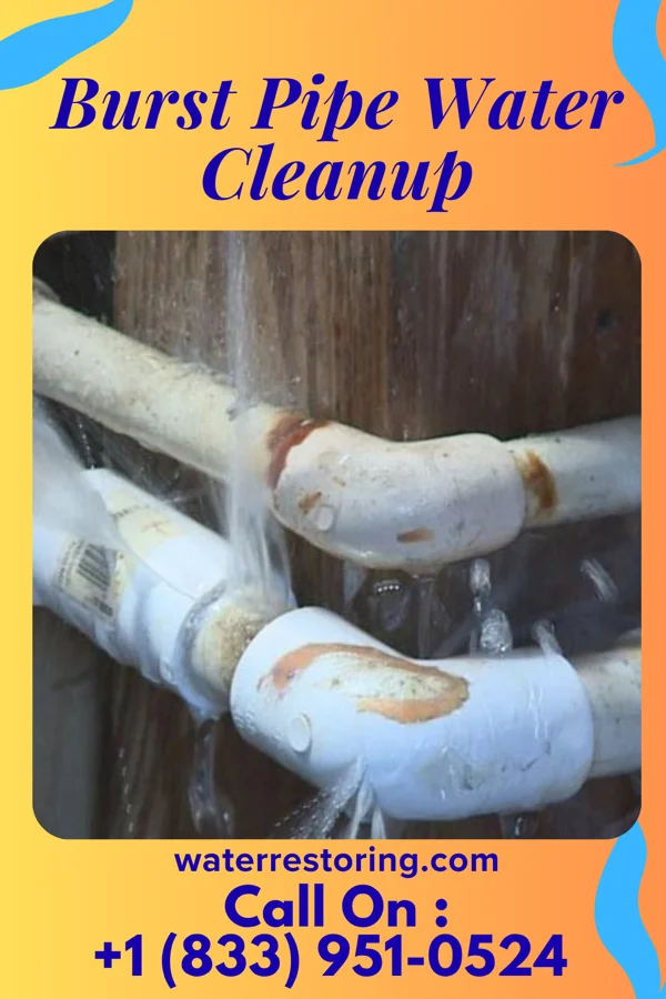 Burst Pipe Water Cleanup in Center Line, MI