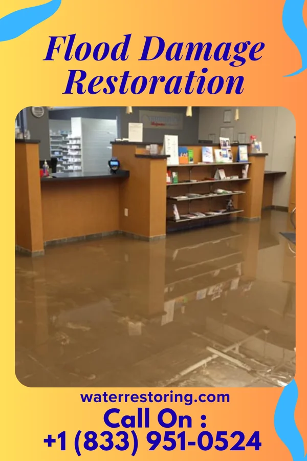 Flood Damage Restoration in Center Line, MI