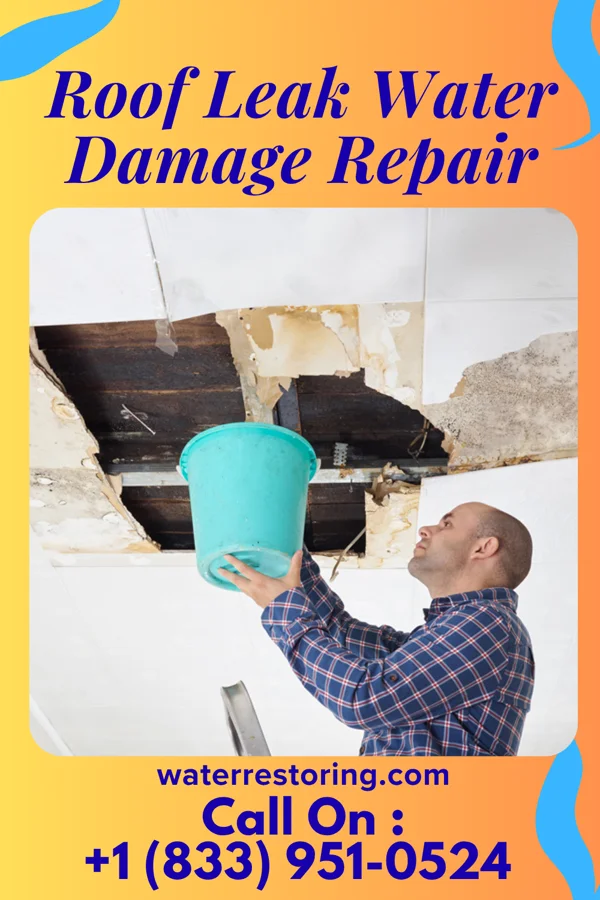Roof Leak Water Damage Repair in Center Line, MI