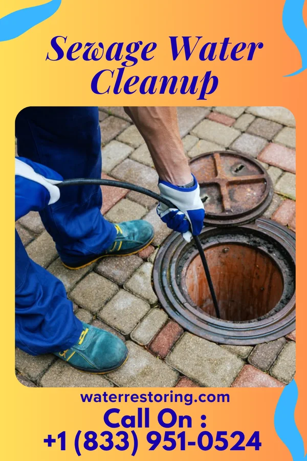 Sewage Water Cleanup in Center Line, MI