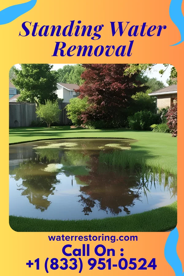 Standing Water Removal in Center Line, MI
